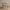 https://res.cloudinary.com/billionhands/image/upload/v1781605295/items/au4prkpdhqjpr55njnrc.png-1cover