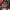 https://res.cloudinary.com/billionhands/image/upload/v1781605617/items/apuet4i53vodfe3zfzwd.avif-0cover
