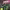 https://res.cloudinary.com/billionhands/image/upload/v1781606787/items/ynwn1j4mfptslayaymza.webp-1cover