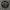 https://res.cloudinary.com/billionhands/image/upload/v1781609104/items/c0fykjurjh5rnw7fwy4r.jpg-2cover