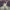 https://res.cloudinary.com/billionhands/image/upload/v1781615388/items/llyxtgxrqklpgyvem8kz.jpg-3cover