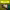 https://res.cloudinary.com/billionhands/image/upload/v1781615654/items/xopxqreg5y27keymxtc8.jpg-2cover
