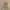 https://res.cloudinary.com/billionhands/image/upload/v1781616184/items/jqsaxx6rfuzmwiiyghbw.jpg-3cover