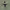 https://res.cloudinary.com/billionhands/image/upload/v1781618971/items/ecu8f5gexuxo6dqyjazp.jpg-3cover