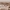 https://res.cloudinary.com/billionhands/image/upload/v1781619134/items/aaux3wbrki4glrwgvnz2.webp-2cover