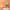 https://res.cloudinary.com/billionhands/image/upload/v1781619330/items/mf5akjtsnlzpfhceyxz1.webp-3cover