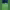 Mejores goles de la historia de la Copa América ranking cover
