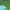 https://res.cloudinary.com/billionhands/image/upload/v1781619400/items/xsf8mvlxfkumz3ev1t81.jpg-0cover