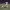 https://res.cloudinary.com/billionhands/image/upload/v1781619435/items/ejty36sdej93e4s7gsn9.jpg-3cover