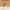 https://res.cloudinary.com/billionhands/image/upload/v1781619960/items/leuu70yqaczhp345xosx.webp-1cover