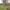 https://res.cloudinary.com/billionhands/image/upload/v1781620100/items/giqe1qcjt8qjmzggmgg8.jpg-3cover