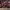 https://res.cloudinary.com/billionhands/image/upload/v1781621337/items/n2pvznv2cujq8i12omxy.webp-0cover