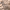 https://res.cloudinary.com/billionhands/image/upload/v1781622652/items/lcyehky90nzu4x9zobp0.jpg-2cover