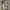 https://res.cloudinary.com/billionhands/image/upload/v1781622653/items/anek6heir0xrtkw4kvdb.webp-3cover