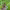 https://res.cloudinary.com/billionhands/image/upload/v1781622803/items/awokjrlst80yevcqltri.webp-0cover