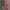 https://res.cloudinary.com/billionhands/image/upload/v1781622808/items/uq6wikgl1ldajg5fpfp2.jpg-3cover