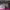 https://res.cloudinary.com/billionhands/image/upload/v1781622892/items/aqkgzfifigiqymoehrng.jpg-3cover
