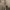 https://res.cloudinary.com/billionhands/image/upload/v1781625423/items/isuitbulrxya5qydvpre.jpg-0cover
