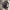 https://res.cloudinary.com/billionhands/image/upload/v1781626517/items/ch4m47s7dqlc47qoiqaz.jpg-3cover