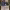 https://res.cloudinary.com/billionhands/image/upload/v1781627438/items/hyhmsyfvbjpfnctghrns.webp-2cover