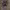 https://res.cloudinary.com/billionhands/image/upload/v1781629750/items/n91eeiejdsp5ciokbths.jpg-2cover