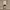 https://res.cloudinary.com/billionhands/image/upload/v1781635202/items/teecgbrbpballiishuzs.jpg-0cover