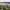 Woodberry Wetlands cover