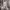 https://res.cloudinary.com/billionhands/image/upload/v1781636521/items/h5oixcsedgfmwujctlm6.webp-3cover