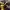 https://res.cloudinary.com/billionhands/image/upload/v1781637291/items/xyafcjvg0hddbmbpql11.png-2cover