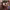https://res.cloudinary.com/billionhands/image/upload/v1781639707/items/tnhmtvjorxtg8seupcfh.jpg-3cover