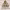 National Mexican Folkloric Dance Encounter Serenata en la Villita cover