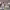 https://res.cloudinary.com/billionhands/image/upload/v1781639764/items/idv9mwh0rssvk1udrgr7.jpg-3cover