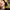 Baby Doll (feat. Kanika Kapoor) cover