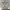 https://res.cloudinary.com/billionhands/image/upload/v1781640600/items/ysxo1j7vfahlhf2paoao.jpg-1cover