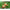 https://res.cloudinary.com/billionhands/image/upload/v1781640738/items/t7nx3ccusgosv8vfeizy.avif-2cover