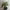 https://res.cloudinary.com/billionhands/image/upload/v1781640740/items/rmhpgwdrv1poltyt7ydq.webp-3cover