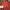 https://res.cloudinary.com/billionhands/image/upload/v1781640869/items/xzdwh1iv0uxnsmod4rbt.jpg-3cover
