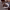 https://res.cloudinary.com/billionhands/image/upload/v1781641830/items/fprgch3wbnbmuscfphz1.jpg-2cover