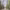 https://res.cloudinary.com/billionhands/image/upload/v1781644343/items/kgdwtfhmff0vxljvxttq.jpg-1cover