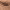 https://res.cloudinary.com/billionhands/image/upload/v1781644346/items/xopfugh6lcm4xcqqifnu.jpg-1cover