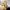 https://res.cloudinary.com/billionhands/image/upload/v1781644393/items/ynrrm3cujqrsbdt9ignf.jpg-1cover