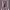 https://res.cloudinary.com/billionhands/image/upload/v1781646461/items/b3mny0sanrjglz10iy6d.jpg-1cover