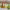 https://res.cloudinary.com/billionhands/image/upload/v1781650798/items/fibtyynlcxjwiw4wrrwg.webp-3cover