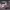 https://res.cloudinary.com/billionhands/image/upload/v1781652267/items/vx8aukkahsovqsq7jskd.png-1cover