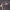 https://res.cloudinary.com/billionhands/image/upload/v1781652283/items/ecbzxx3zjdwa7xmgjzxp.avif-1cover