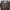https://res.cloudinary.com/billionhands/image/upload/v1781652308/items/lxw7bithvfndobv5fjgn.jpg-0cover