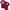 https://res.cloudinary.com/billionhands/image/upload/v1781652313/items/mpwjpzhz5yy0yxvziiw0.avif-2cover
