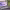 https://res.cloudinary.com/billionhands/image/upload/v1781652426/items/fjf1y29eqgndmda0aphf.webp-1cover