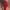 https://res.cloudinary.com/billionhands/image/upload/v1781656071/items/pvnsidj99v7fr4ptrci0.jpg-3cover