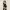 https://res.cloudinary.com/billionhands/image/upload/v1781659642/items/gz5hufntj3tniedb4kvf.jpg-0cover